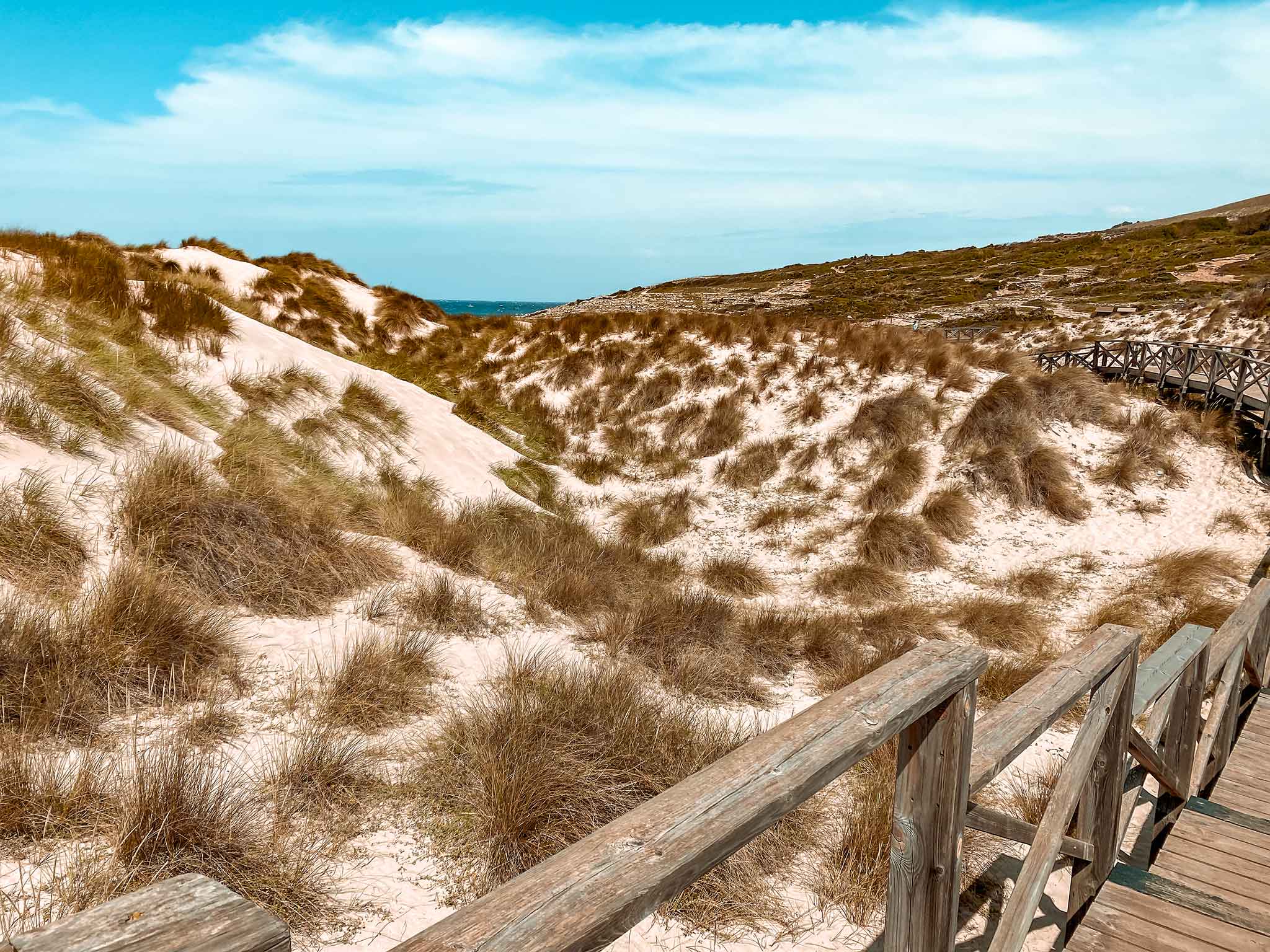 quand partir à majorque