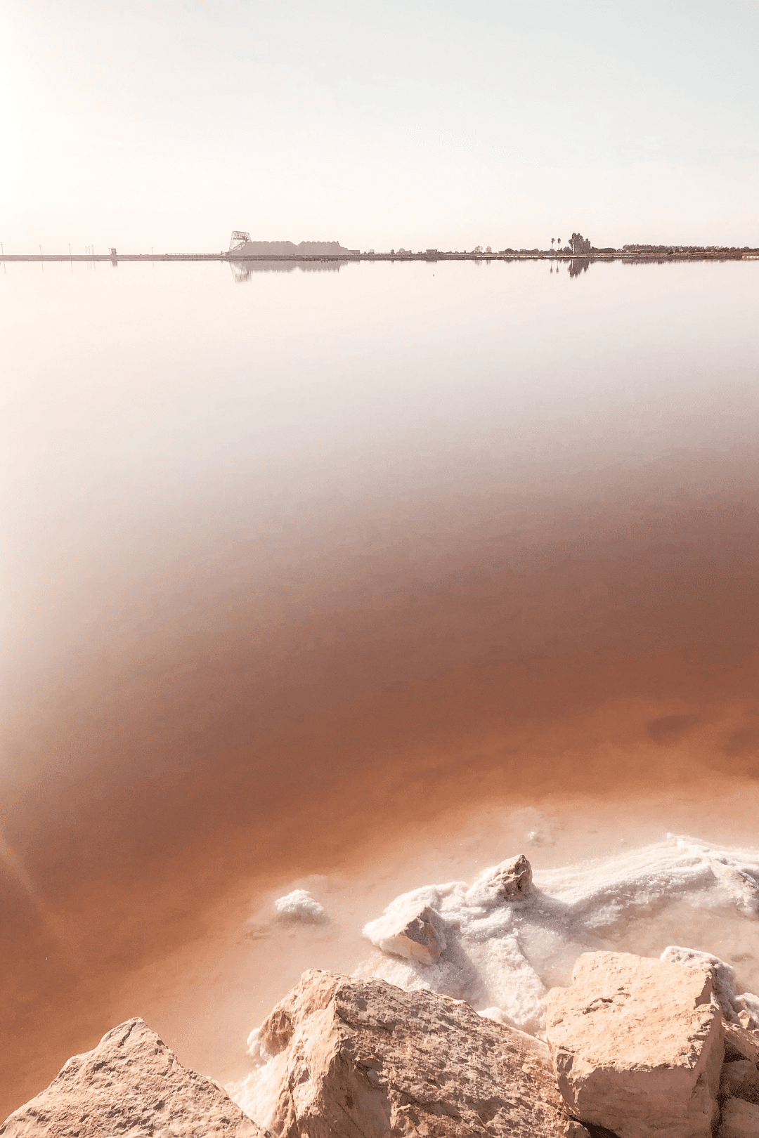 Margherita di savoia