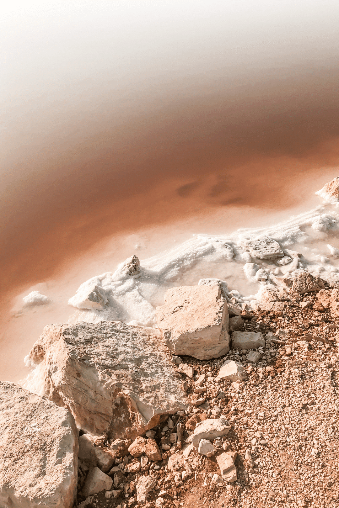 Margherita di savoia