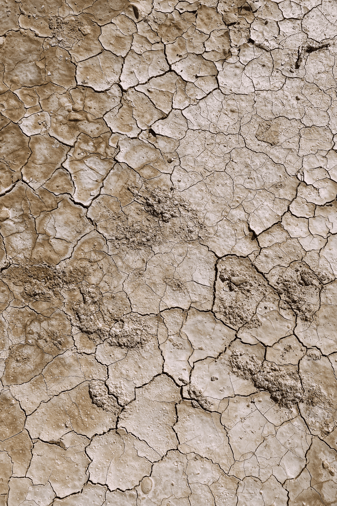 road trip dans le désert des bardenas