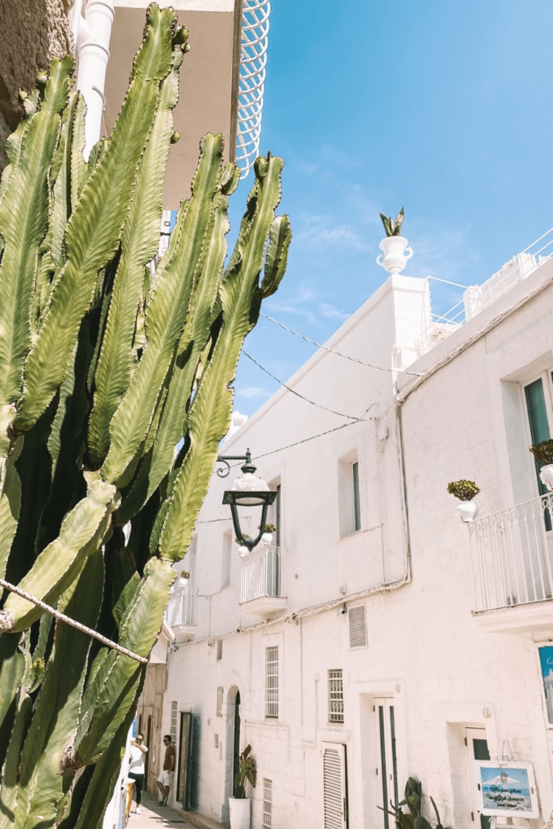 Monopoli les pouilles