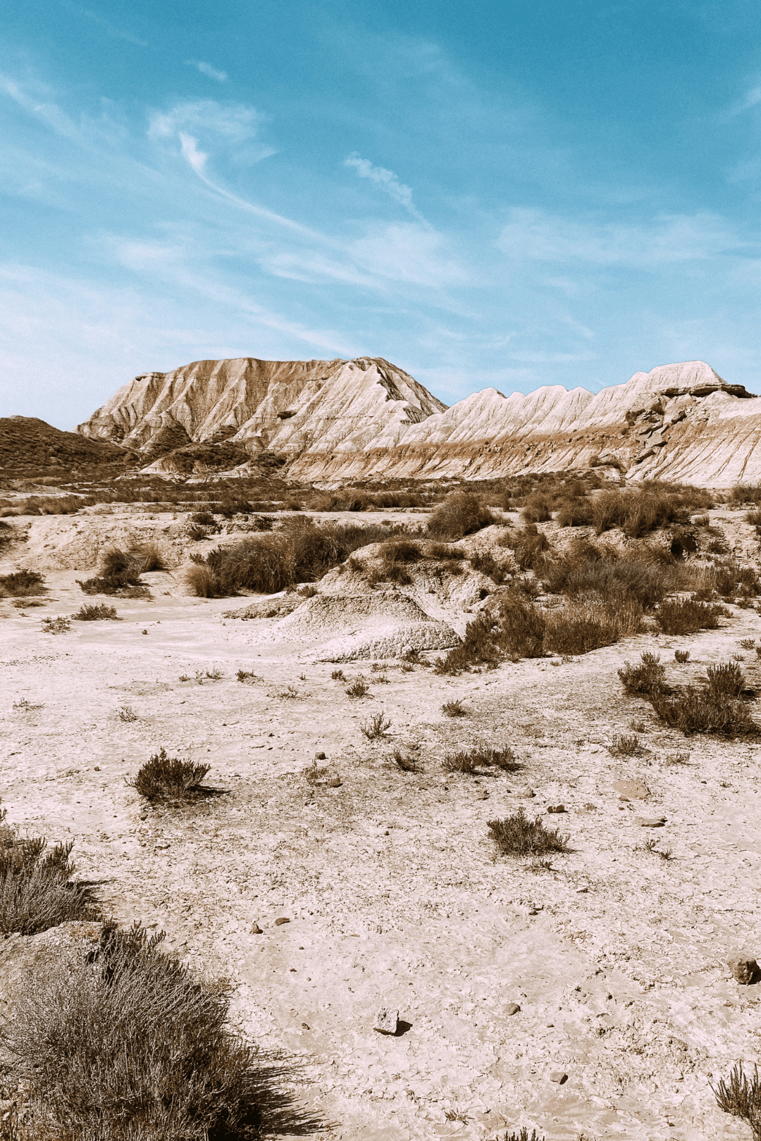 que voir dans les bardenas