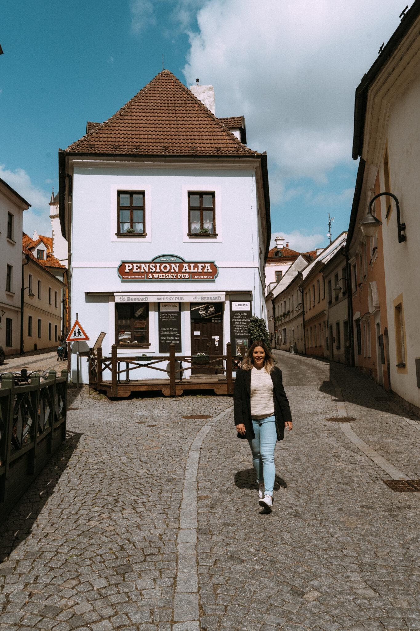 restaurant pension alpha Tabor en république tchèque