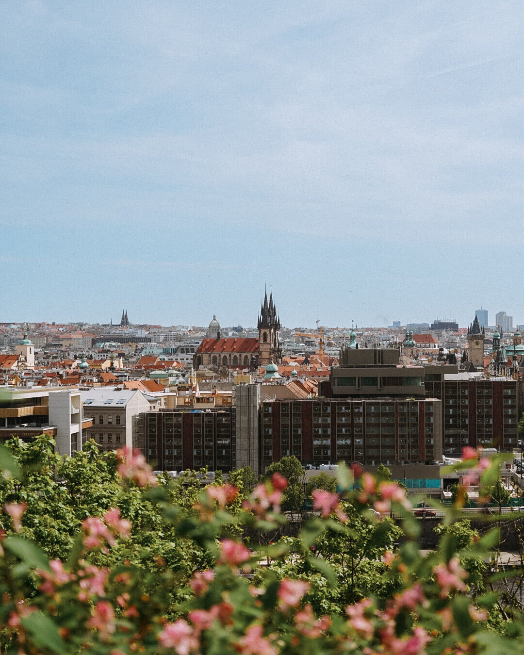 Le jardin botanique de Prague