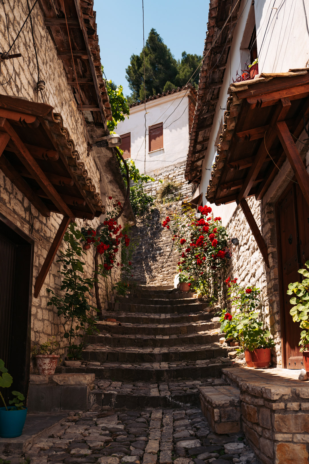 ruelle fleuri de mangalem à berat Albanie