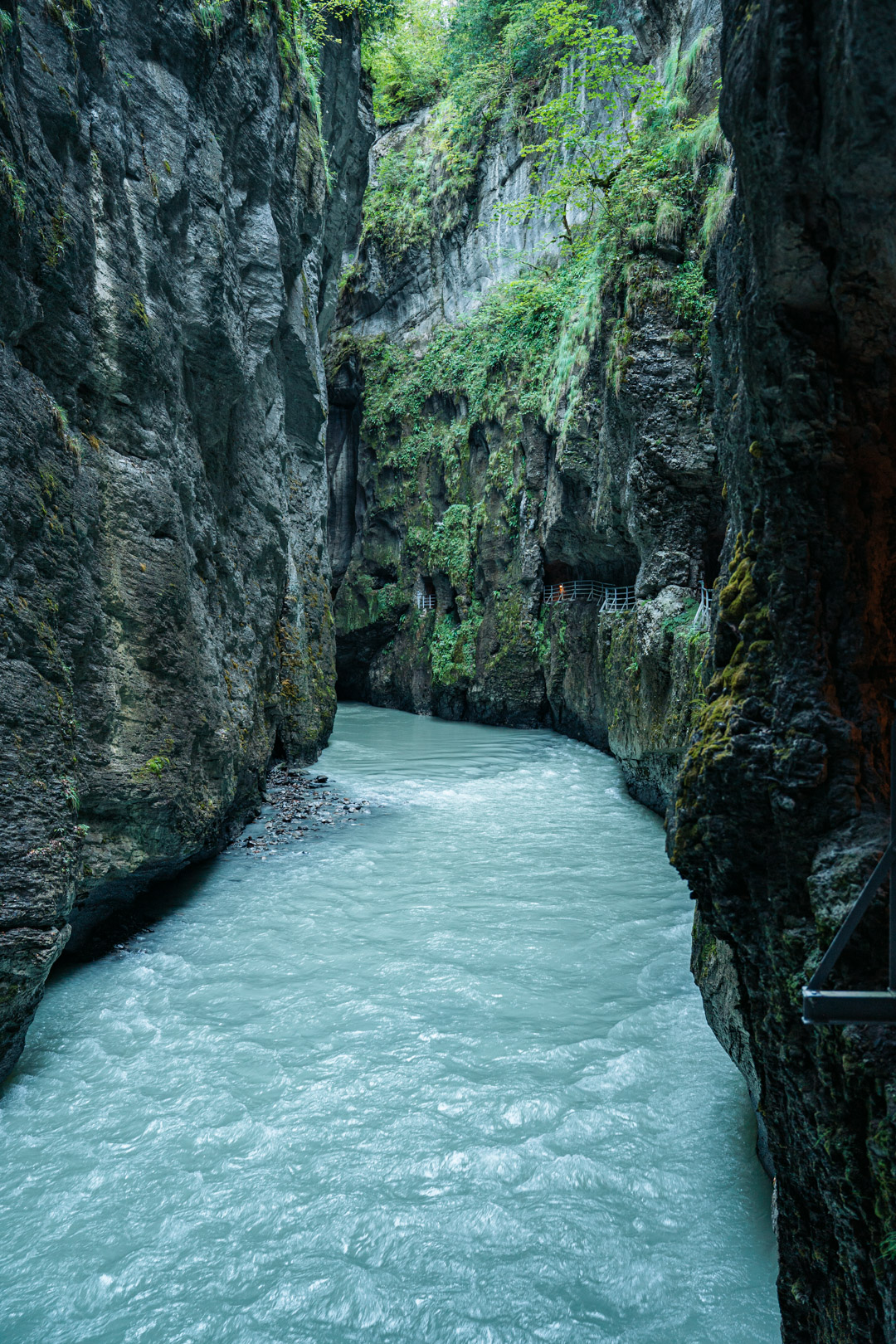 Eaux turquoise de la rivière Aar traversant les gorges de l’Aar (Aareschlucht), entre d'impressionnantes parois rocheuses recouvertes de végétation, en Suisse.