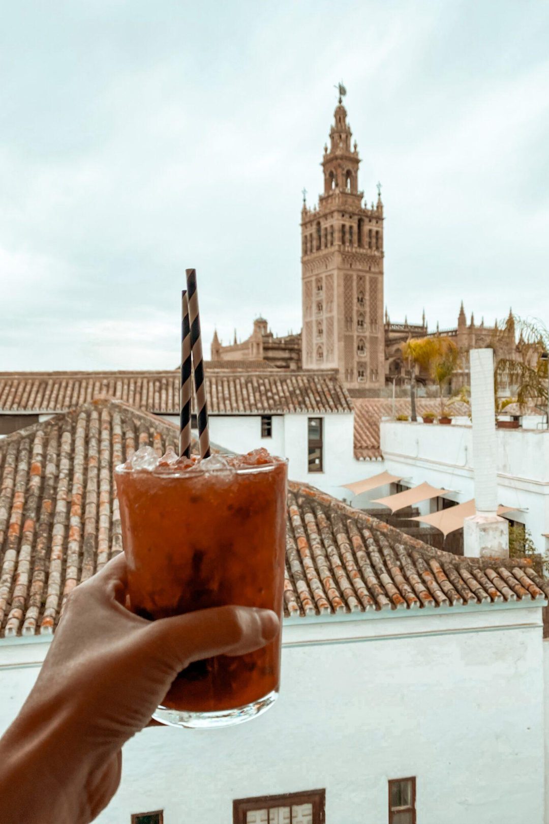pura vida terrazza séville