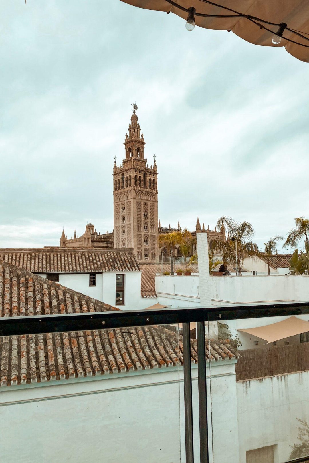 pura vida terrazza séville