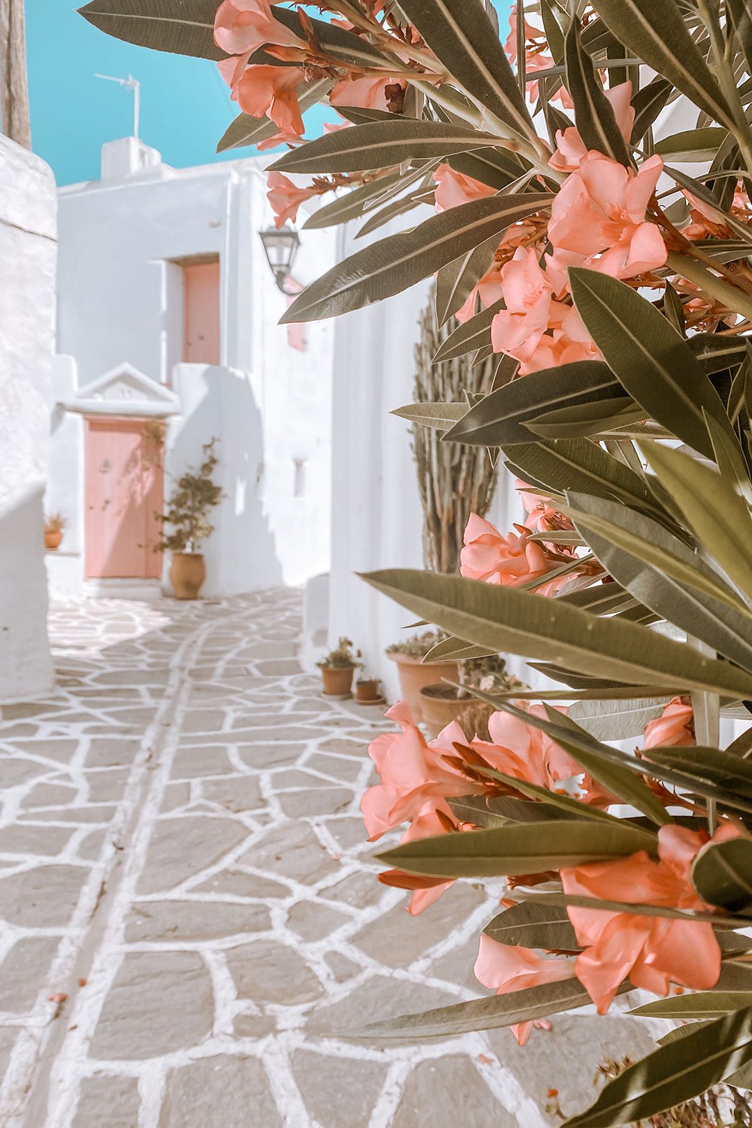 village de Marpissa et sa maison rose à Paros